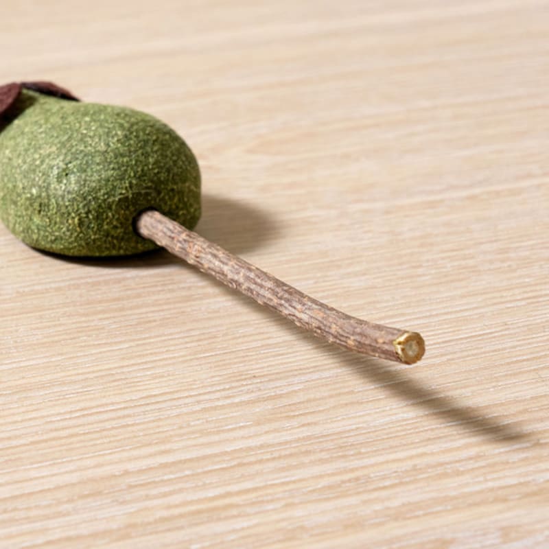 [Animal de companie] Jucărie Catnip pentru pisici, șoarece