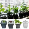 DIY Balcony Vegetable Hydroponic Bucket Cucumber Tomato Plant Growth Hydroponic System Home Soilless Cultivation Equipment