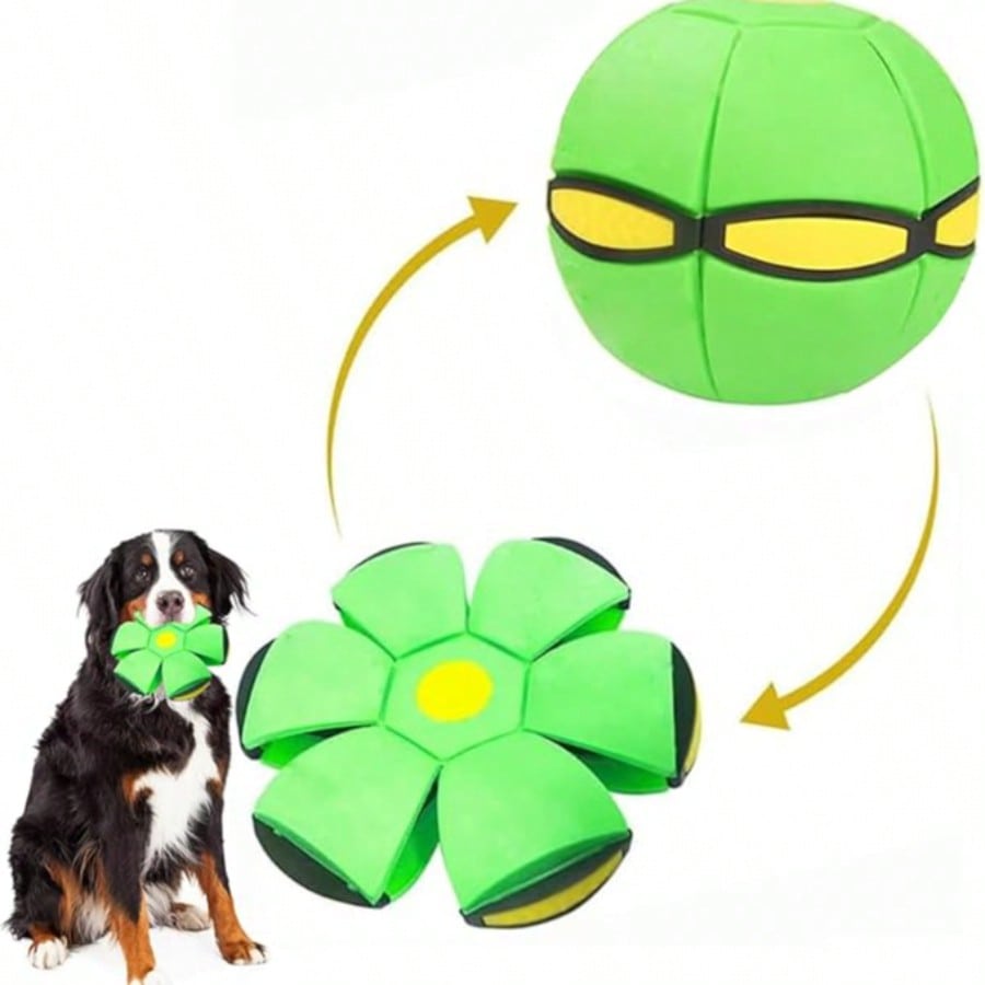 1 Pezzo Giocattolo per Animali Disco Volante, Giocattolo Disco Volante per Cani, Adatto per Cani Interattivi, Gatti, Calcio, Giochi all'Aperto, Giochi da Campeggio