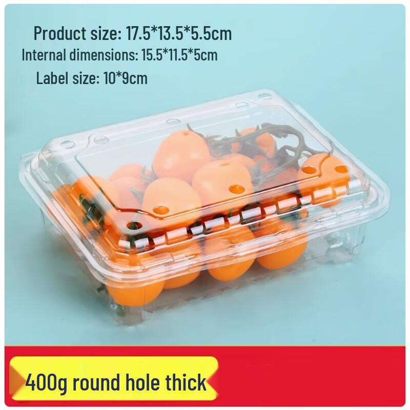 Premium Disposable Fruit & Takeaway Containers