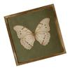 Art Mural Papillon Avec Cadre en Bois Peintures sur Toile Élégantes Affiches Anciennes Montage Facile Pour Chambre à Coucher Espace de Vie