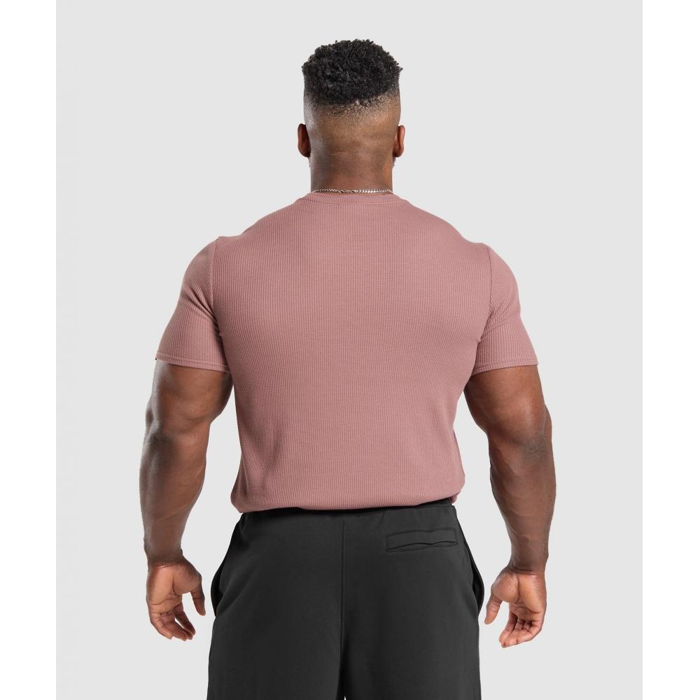 Gymshark Waffle T shirT Brick Brown A1b9m Ncgr
