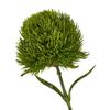 Hill Interiors Dianthus Artificial Plant