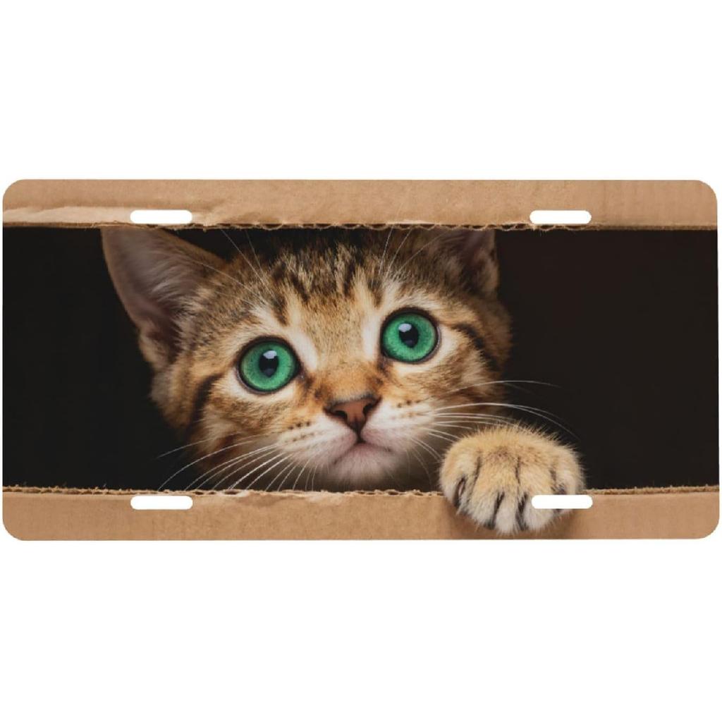 Evil Smile Monster Face Front License Plate for Women Car Vanity Plates Decorative Aluminum Metal Cute Novelty License Plate Cover for Men 6x12 Inch