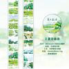 Journal GO 3x200cm Travel Notes Tape Stickers for Collage Junk Journal Scrapbooking Traveling Decor Masking Tape Decals