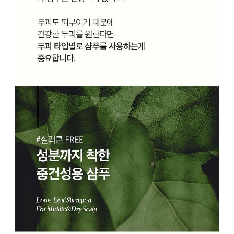 THE PURE LOTUS - Lotus Leaf Shampoo For Middle And Dry Scalp Jumbo