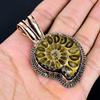 Ammonite Fossil Pendant, Gemstone 999 Copper Wire Wrapped Jewelry Pendant, Handmade Jewelry Birthstone Pendant