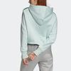 Adidas Originals Sweatshirts Women's Steam Green Hooded Moderate Regular (Unisex) Sweatshirts EJ9344