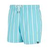 Regatta Mens Loras Stripe Swim Shorts