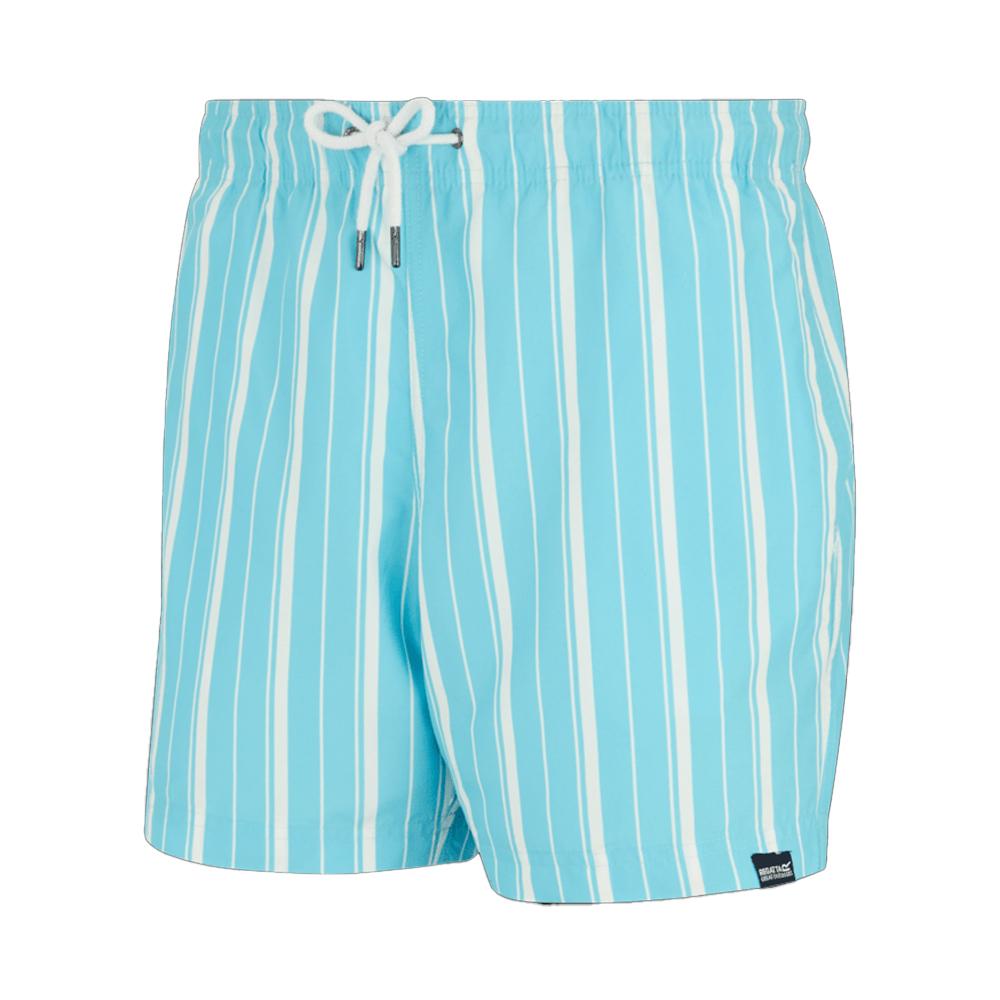 Regatta Mens Loras Stripe Swim Shorts