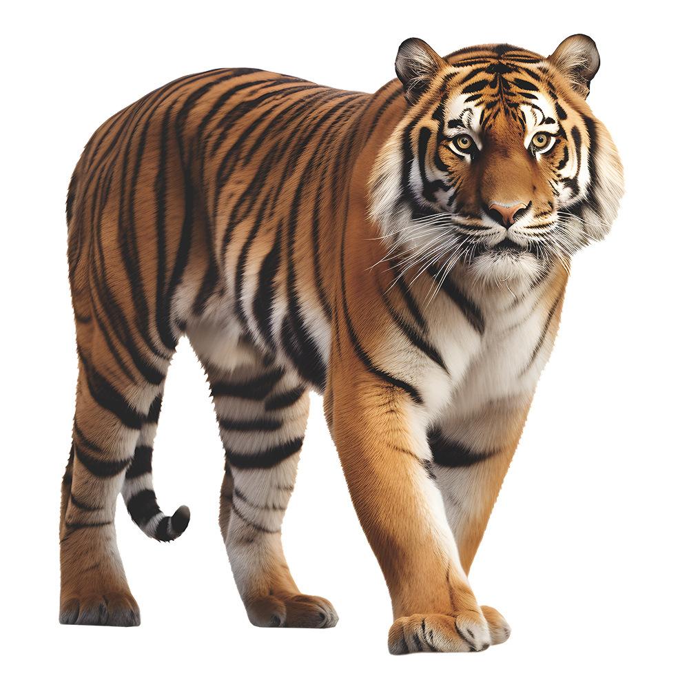 

3D Realistic Tiger Wall Sticker for Bedroom Study Living Room Home Decor 40x60CM разноцветный