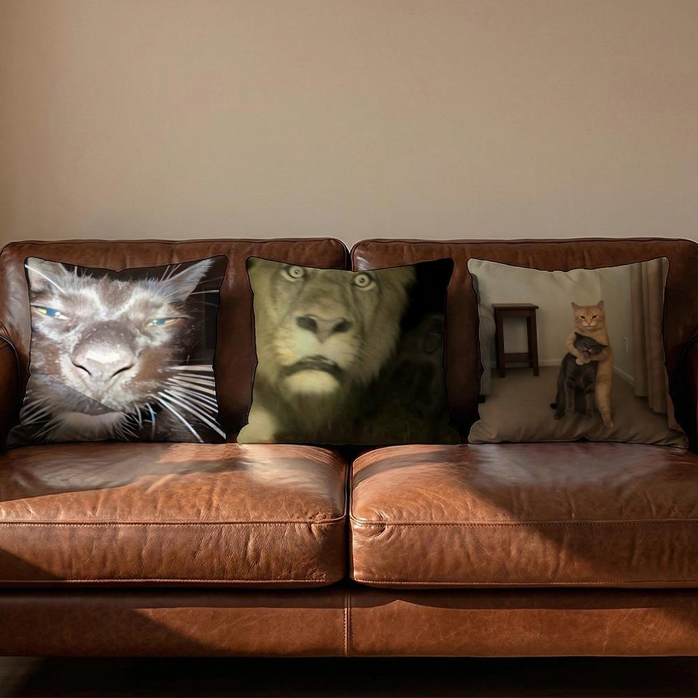 memes Cushion Cover Soft Reversible Durable Pillow Cover MultiScene Use for Home Car Daily Comfort