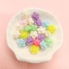 Home Party Supplies DIY Beads Jewelry Accessories Multicolor 20Pcs Rose Flower Beads Handmade Material Beads for Crafted Candy Color Fashion