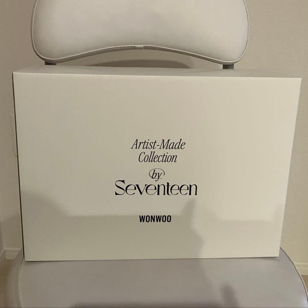 

[Б/У] SEVENTEEN Wonwoo Сумка, сделанная артистом