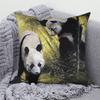Cute Panda Print Decorative Cushion Cover Home Sofa Bed  Pillow