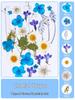 Handmade Transparent Bottle Embossing Film for Spring Plant Specimen Bookmarks