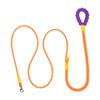 New hot selling colour dog leash dopamine walking pet p-leash, large, medium and small dog colour gradient leash dog poop bag.