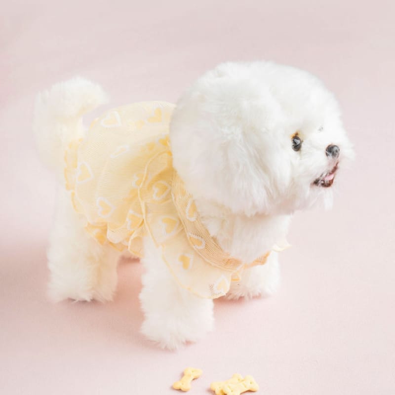 [Pet] Heart See-Through Crop Tee M