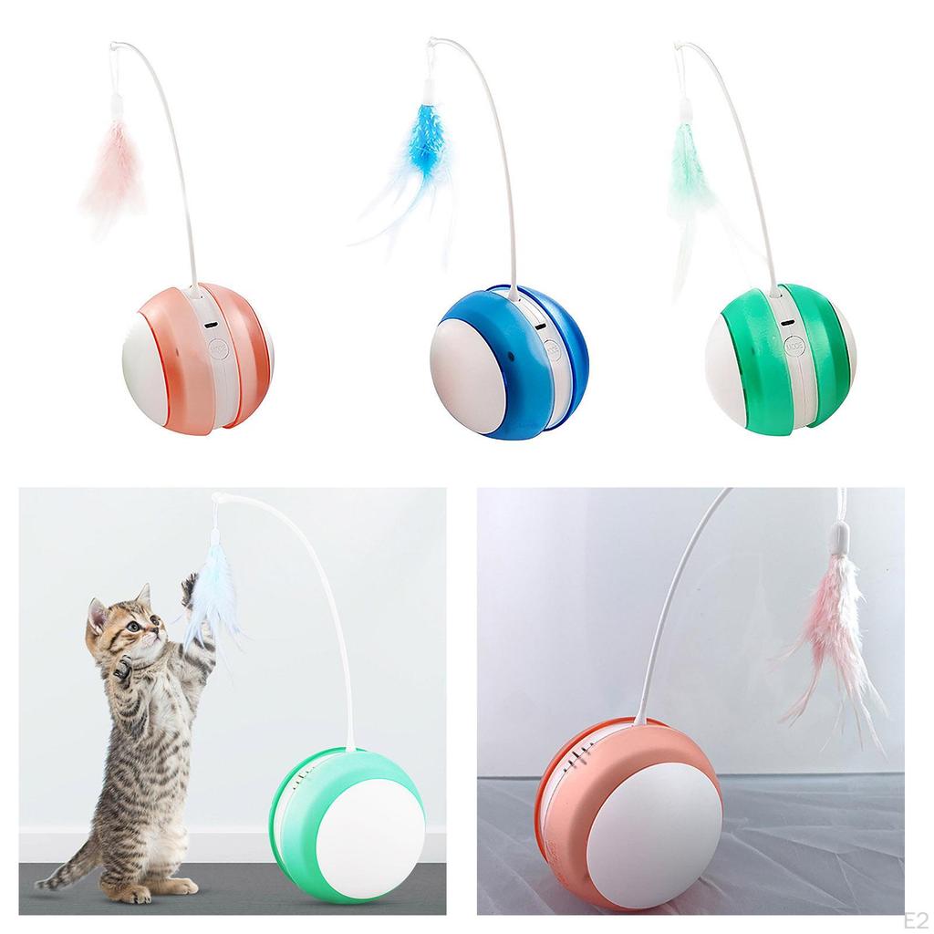 2 Modes Toy Play Ball with Feather Teaser, Pets Kitten Scratch Trow Feathers Mouse Toys