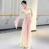 Women's Gradient Butterfly Chinese Classical Dance Set, Sheer Chiffon Tunic & Flowy Pants For Practice & Performance