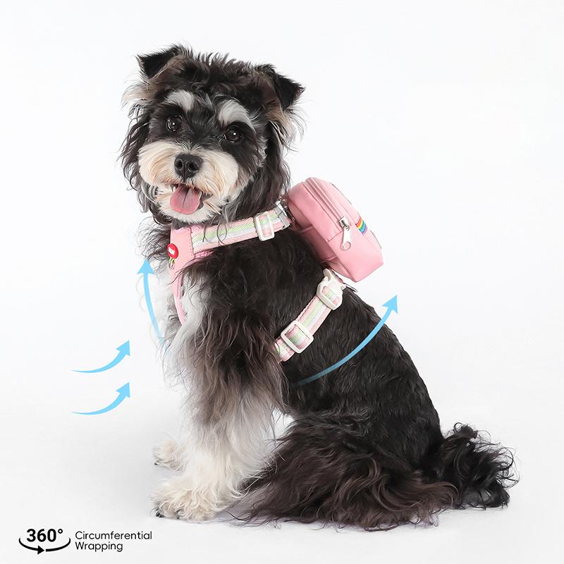 Adorable Dog Harness with Backpack & Leash Comfortable Adjustable No-pull Pet Chest Strap Sherina Bichon Frise Outdoor Supplies