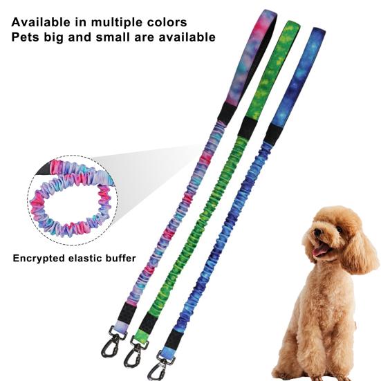 dog training leash