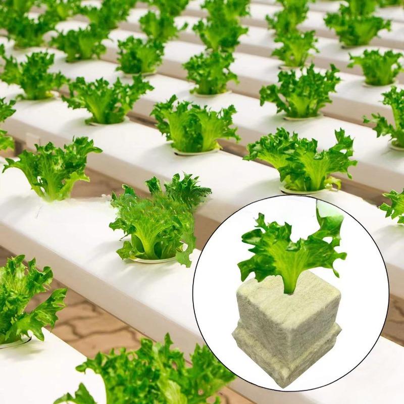100/50x Planting and Seedling Cultivation of Rock Wool Without Soil Stonewool Hydroponic Grow Media Cubes Garden Seedling Block