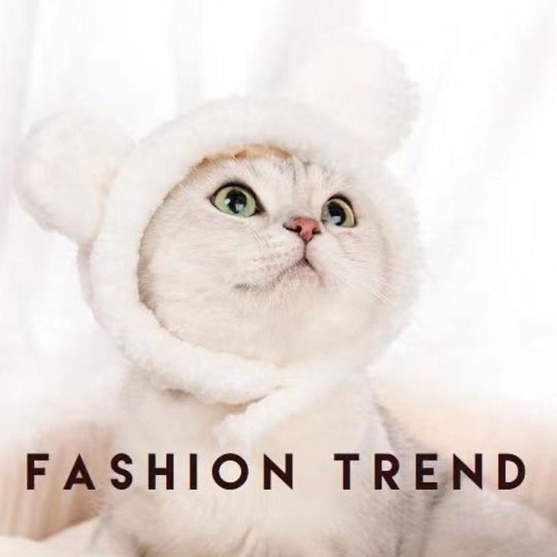 Kitty Kitty Hat Chick Pet Headgear Panda Bear Dog Hat Headgear Drag Hat Internet Celebrity Cross-Border