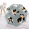 1 Stück Hunde Knochen Automatisches Öffnen/Schließen Regenschirm, Winddicht, Faltbarer Kompakter Regenschirm mit Leichtem Design für Damen/Herren161
