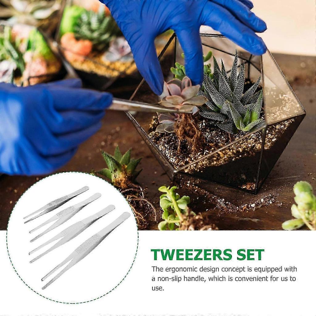 Stainless Steel Round Head Tweezers Set for Stamp 4Pcs Practical