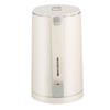 Royalstar Electric Kettle