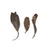 Yingde Black Tea Ying Hong No.9 Tea China Red Tea 250g