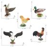 Detailed Pvc Models Of Farm Poultry Ducks Geese Roosters And Hens For Educational Play
