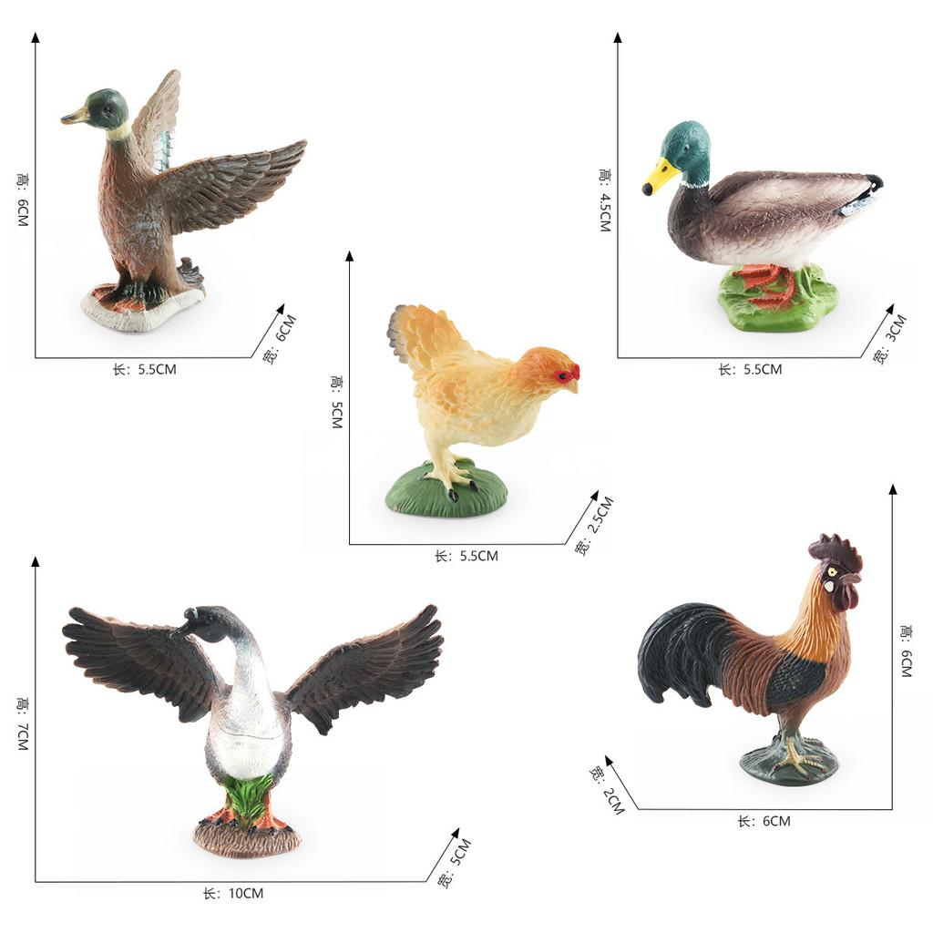 Detailed Pvc Models Of Farm Poultry Ducks Geese Roosters And Hens For Educational Play