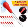 Transparent 9cm/10cm/12cm/15cm/20cm Glass Pipette Glass Dropper Medicine Dropper Dropper Transfer