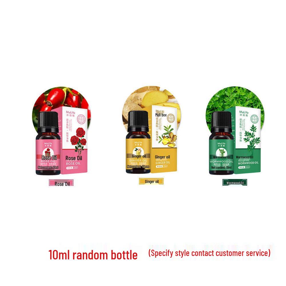 Beech Wood Meridian Massage Comb for Fatigue Relief and Slimming Therapy