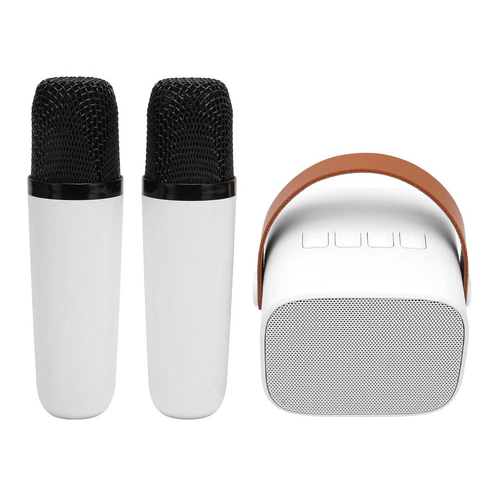 Karaoke Machine Multifunction Stereo Sound Portable   Speaker with 2 Wireless Microphones for Home Party KTV
