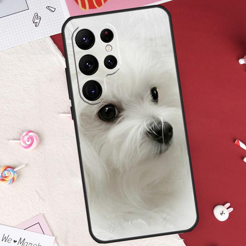 Cartoon Maltese Dog Case For Samsung Galaxy S22 Ultra S20 FE S21 FE S8 S9 S10 Plus Note 10 20 S23 Ultra Cover