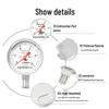 Hongqi YTN-100BF Radial Anti-vibration Oil/Air Pressure Gauge (CN Version)