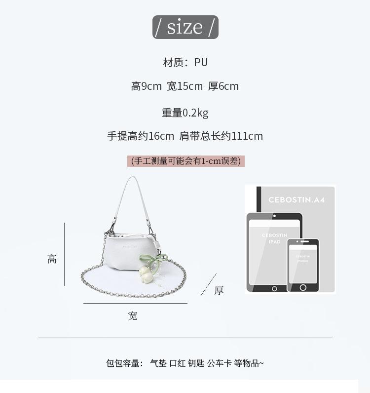 This year's popular bag women's 2025 new fashion high-end shoulder bag super fire versatile chain messenger bucket bag