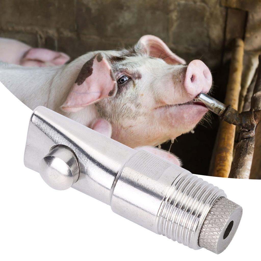 5Pcs DN15 Stainless Steel Flat Nozzle Automatic Pig Drinker Farm Accessory for Cattle Sheep Pig68mm