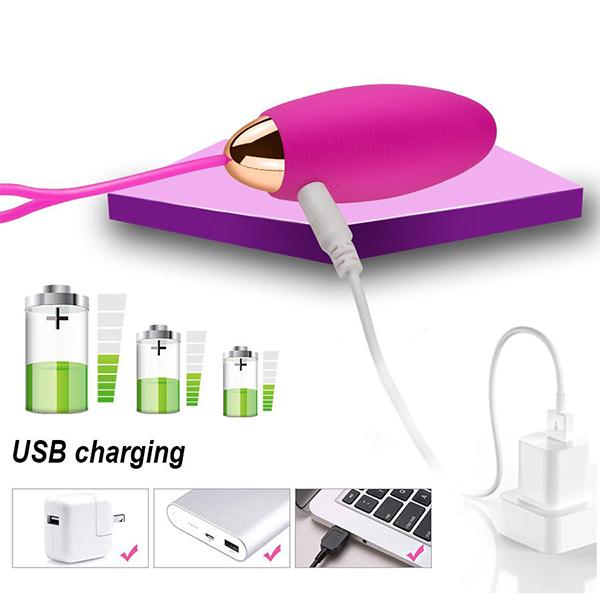 Wireless Remote Control Silicone Wearable Panties Vibrator Egg Clit G Spot Sex Toy for Women