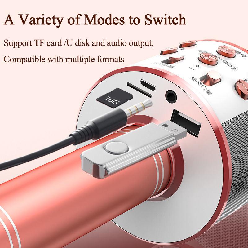Karaoke Microphone for Kids & Adults Bluetooth Singing Mic Echo Effect, Built-in Speaker Portable for Party Travel Gifts