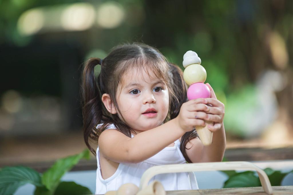 PLANTOYS Ice Cream Set 3486