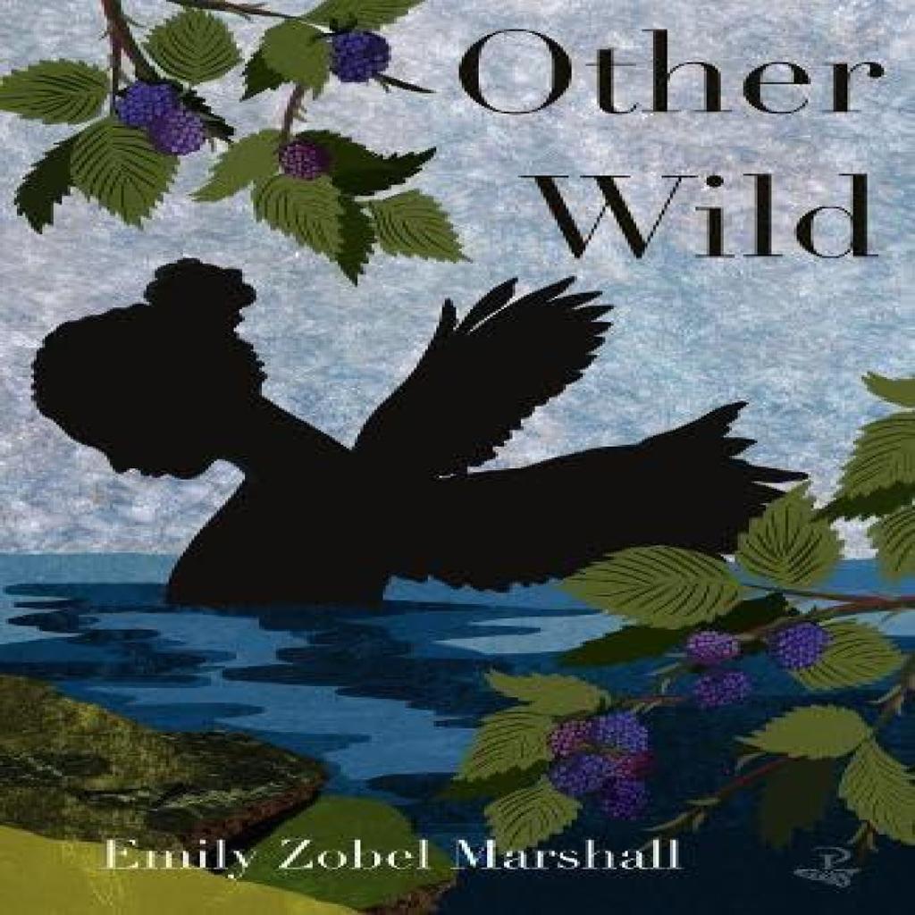 Other Wild by Emily Zobel Marshall Paperback Book 9781845236045