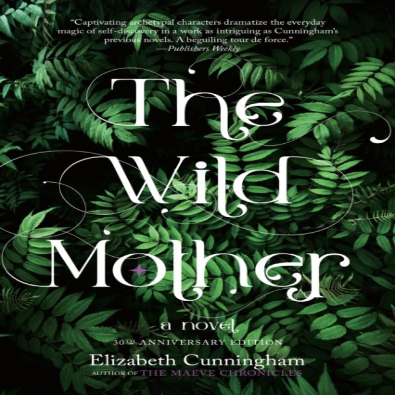 The Wild Mother by Elizabeth Cunningham Paperback Book 9781958972021