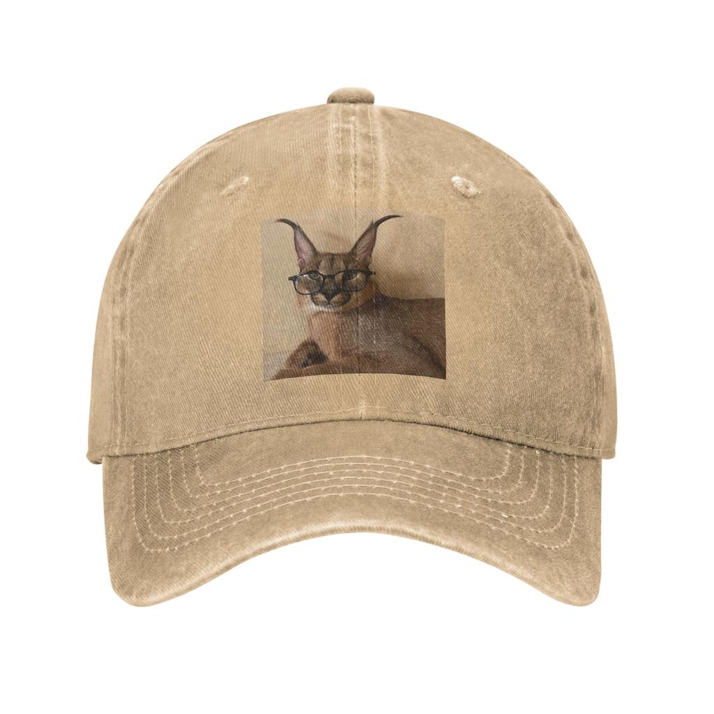 Studious Big Floppa Denim Fabric Cap Casual Baseball Caps Adjustable Hat Summer Unisex Baseball Hats