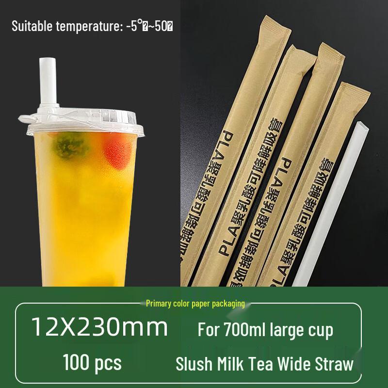 ChuyiQi Individually Wrapped Bagasse Drinking Straws
