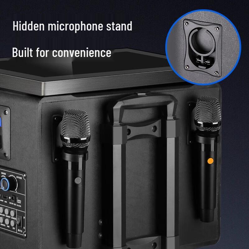 SAST All-in-One Home KTV & Outdoor Audio System