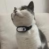 Pet View Camera: Cat & Dog Chest Collar Camera Recorder
